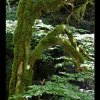 20130617_015